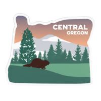 Website design across Central Oregon