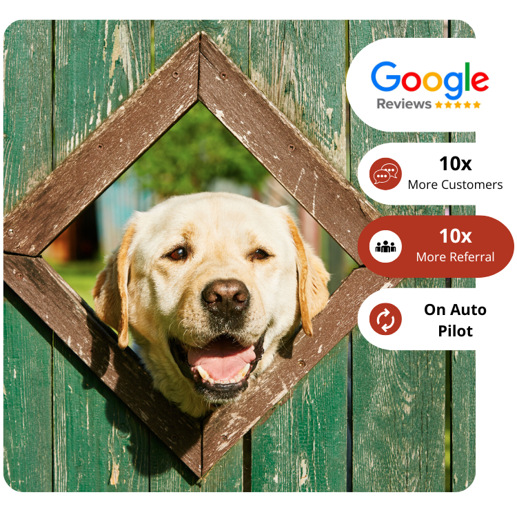 image of happy dog with icons showing more reviews, referrals and growth for buisnesses.