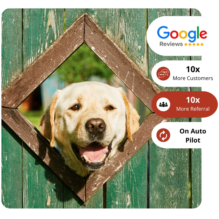 more review more leads